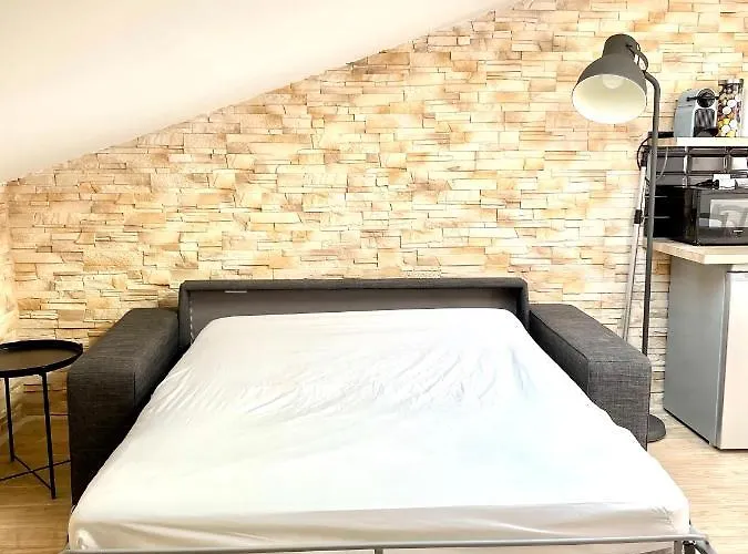 Boetiek Safari Apartment In Heart Of Cannes And Beaches