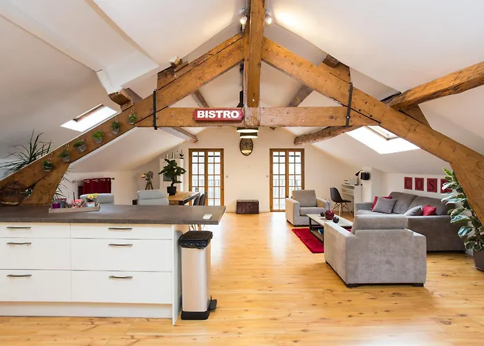 Lb Vacation Rentals I Big Loft 107M2, 10Min Walk To Palais Des Festivals Cannes acceptant les animaux