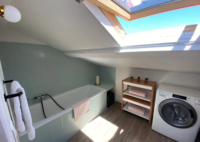 Huisdiervriedelijke Appartement Cannes Centre