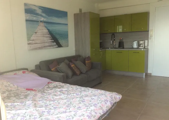 Huisdiervriedelijke Studio On The Croisette With Sea View Cannes